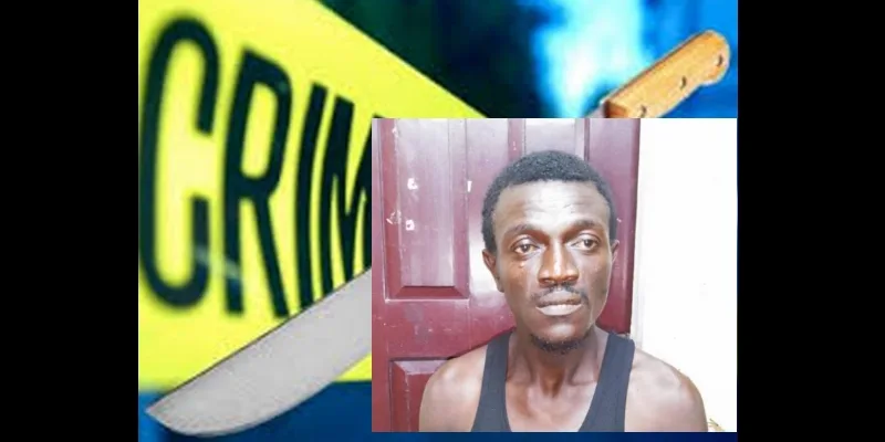 Fearless Essequibo Woman Confronts Intruder with Cutlass, Leading to Swift Arrest.